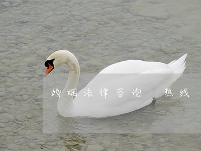 婚姻法律咨询 热线